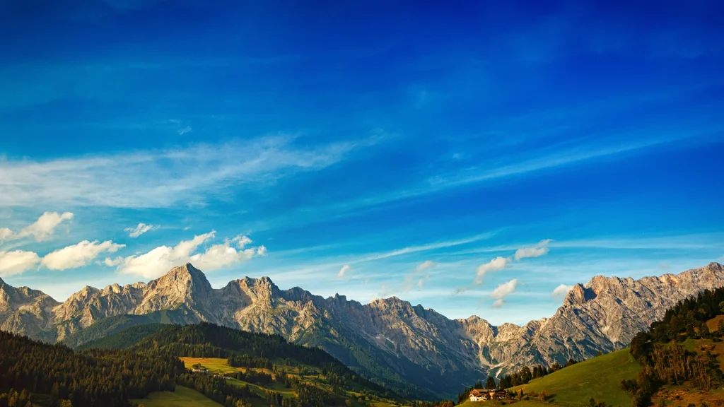 immigration consultant adelaide